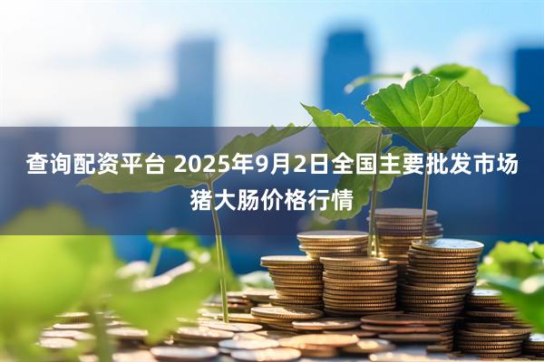 查询配资平台 2025年9月2日全国主要批发市场猪大肠价格行情