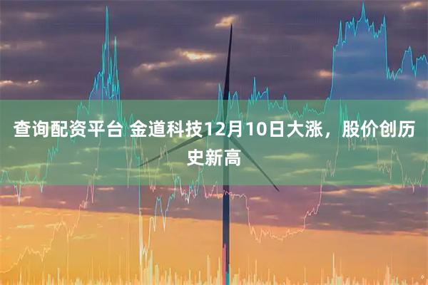 查询配资平台 金道科技12月10日大涨，股价创历史新高