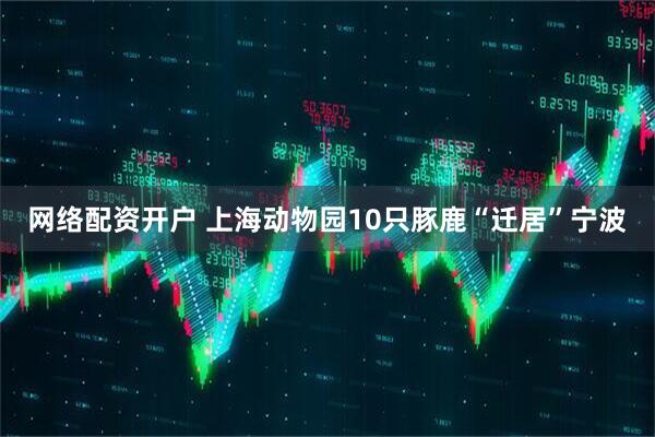 网络配资开户 上海动物园10只豚鹿“迁居”宁波